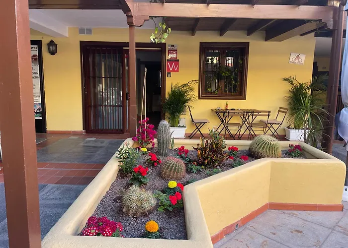 Hidden Treasure プラヤ・デ・ラス・アメリカス